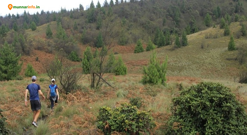 Meesapulimala Trek