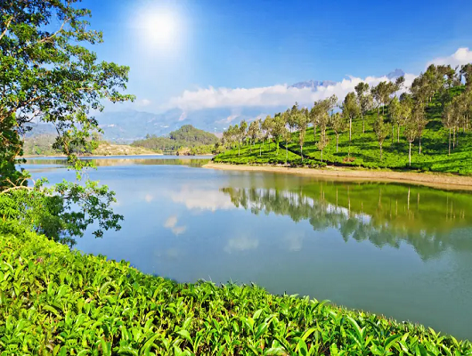 Munnar To Cochin Distance