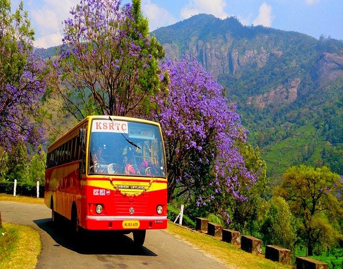 Munnar to Cochin bus timings