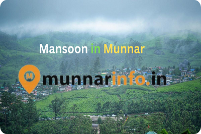 Munnar sightseeing places live updates