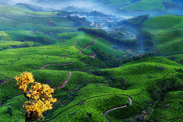 Munnar To Thekkady: A Scenic Road Trip