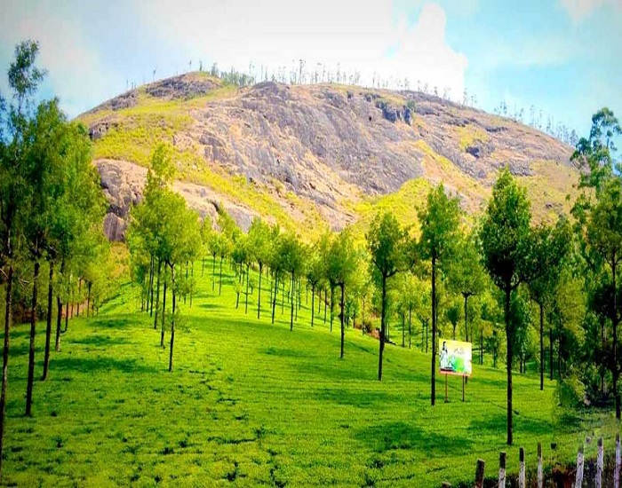Is Munnar is open now?