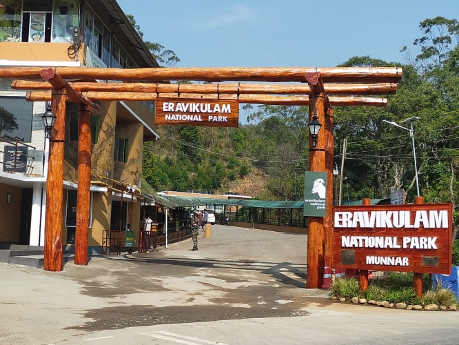 Eravikulam National parak
