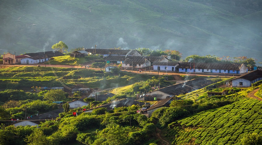 EXPERIENCE MUNNAR TRADITIONAL MARKET VISIT