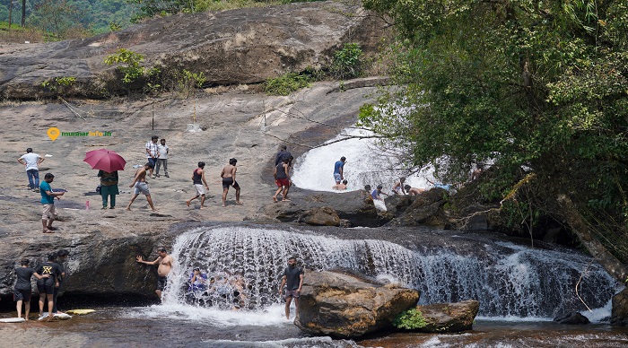 Explore Nature With Waterfall Tour